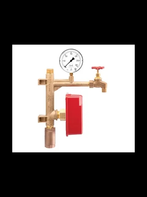 National Fire Products SR100-IR4 1" Resi-Riser Residential Riser Manifold W/Check Valve