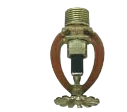 510401500-IMG.png