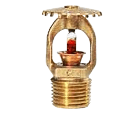 575601155-IMG.png
