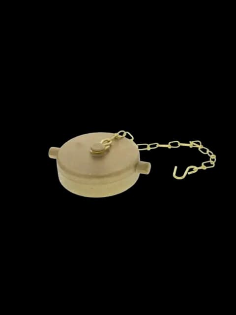 FPPI 07-250-00 2-1/2" NST Threaded,Brass Cap W/Chain