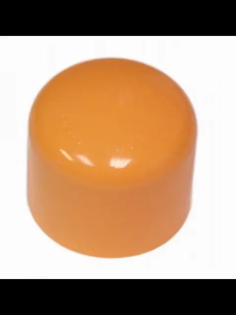 TYCO 80104 2 CPVC CAP (BAG-5) (BOX-20)