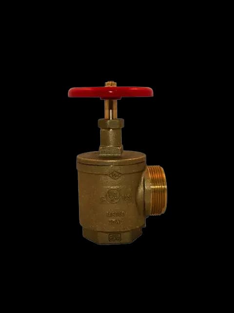 FPPI 4324000350 1/2" Angle Valve